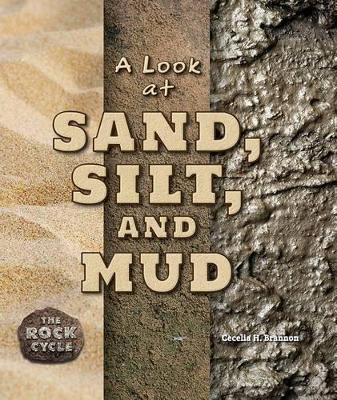 Book cover for A Look at Sand, Silt, and Mud