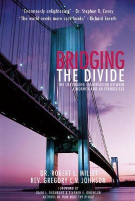 Book cover for Bridging the Divide