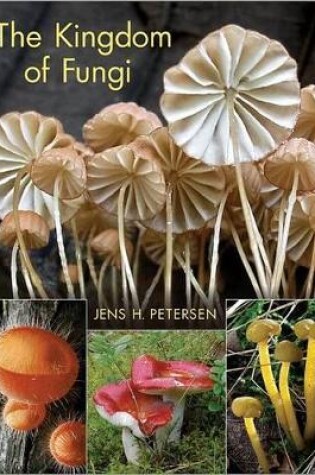 Cover of The Kingdom of Fungi