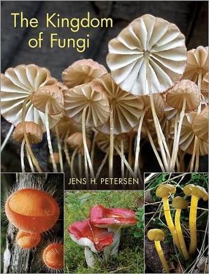 Book cover for The Kingdom of Fungi