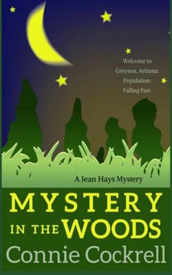 Book cover for Mystery in the Woods