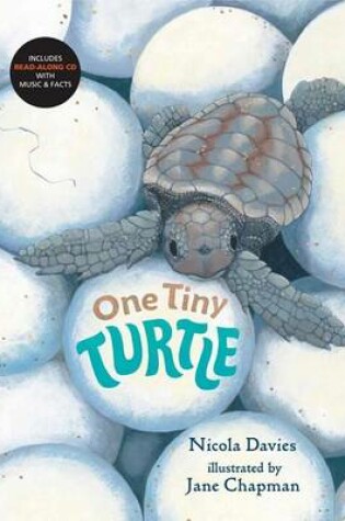 Cover of One Tiny Turtle with Audio