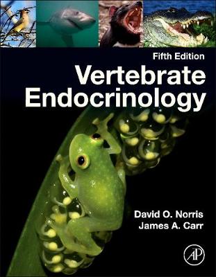 Book cover for Vertebrate Endocrinology