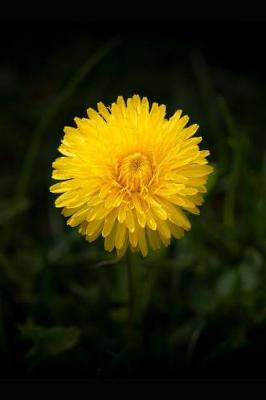 Book cover for A Sunshine Yellow Dandelion Journal