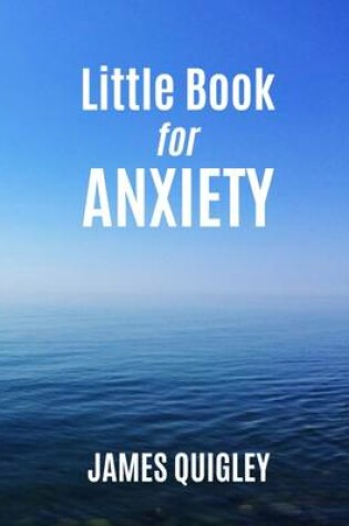 Cover of Little Book for Anxiety