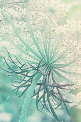 Book cover for Queen Anne's Lace - Lined Notebook with Margins