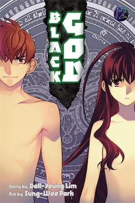 Book cover for Black God, Vol. 12