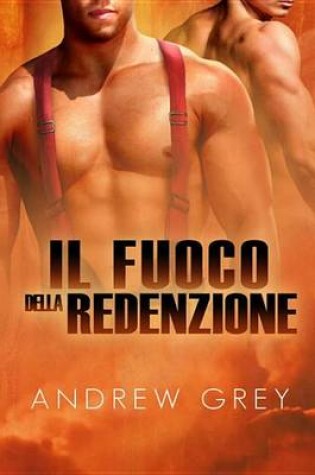 Cover of Il Fuoco Della Redenzione