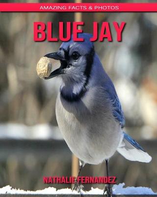 Book cover for Blue Jay