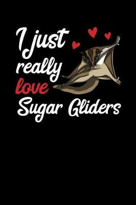 Book cover for I Just Really Like Sugar Gliders