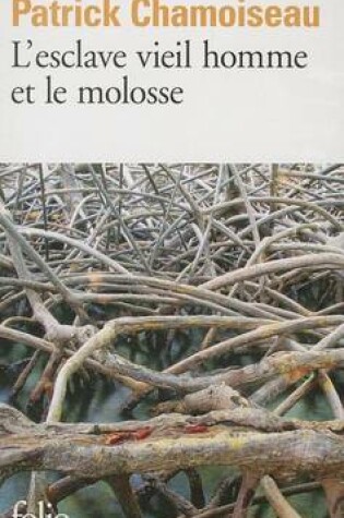 Cover of L'esclave vieil homme et le molosse