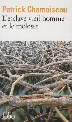 Book cover for L'esclave vieil homme et le molosse