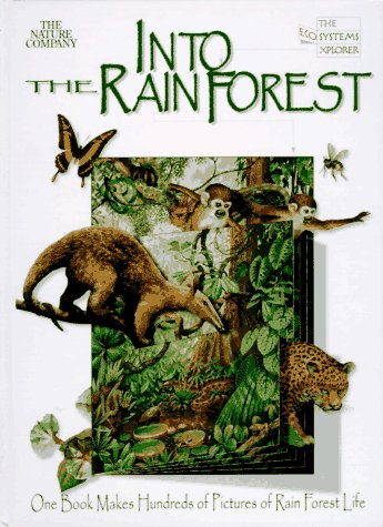 Book cover for Into the Rainforest