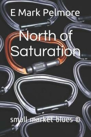 Cover of North of Saturation