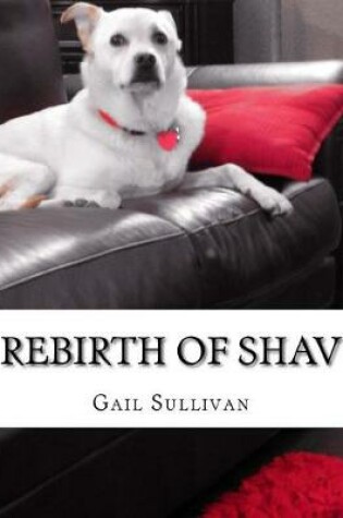 Cover of Rebirth of Shav