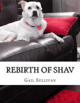 Book cover for Rebirth of Shav