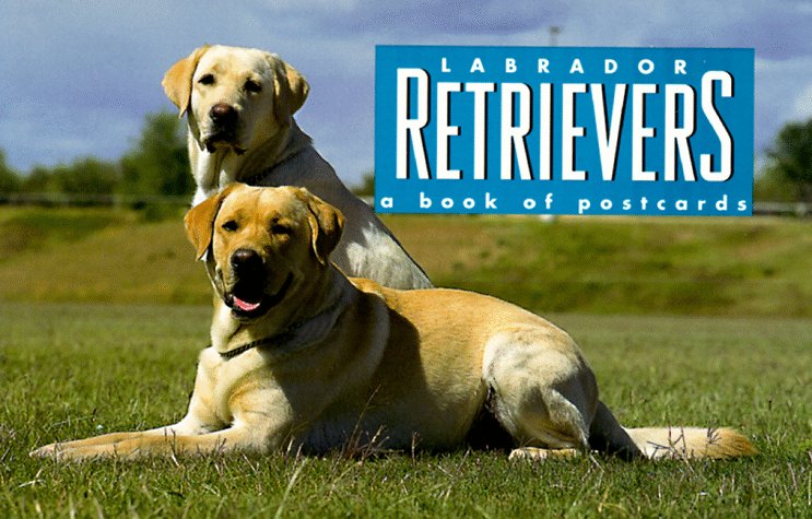 Book cover for Labrador Retrievers