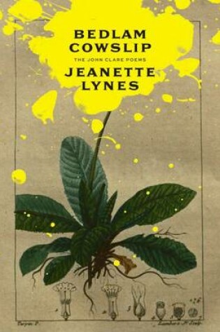Cover of Bedlam Cowslip