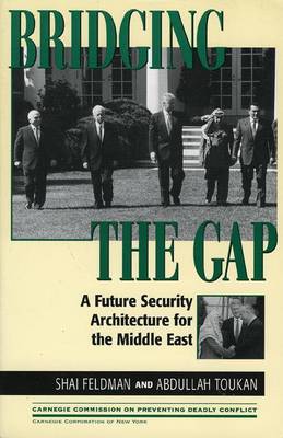 Book cover for Bridging the Gap CB