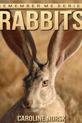 Cover of Rabbits