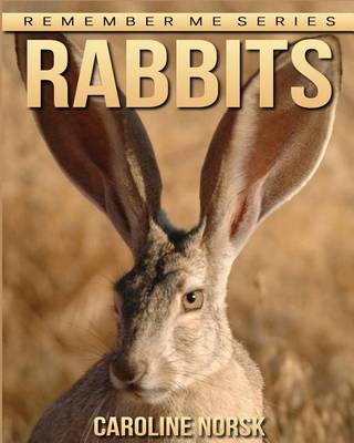 Book cover for Rabbits