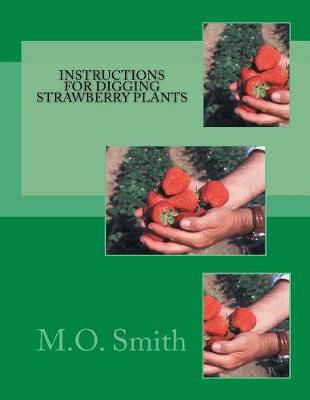 Book cover for Instructions For Digging Strawberry Plants