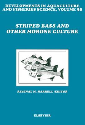 Book cover for Striped Bass and Other Morone Culture