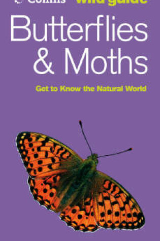 Cover of Butterflies and Moths