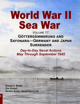 Book cover for World War II Sea War, Volume 17