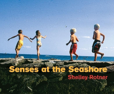 Book cover for Senses at the Seashore