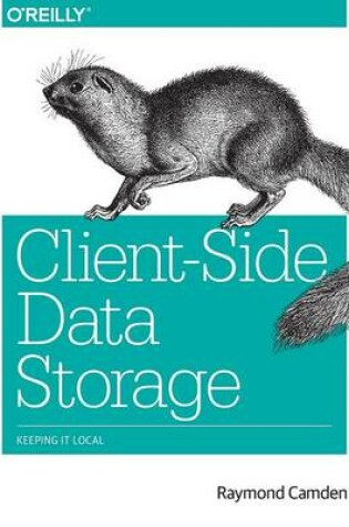 Cover of Client–Side Data Storage