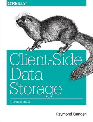 Book cover for Client–Side Data Storage