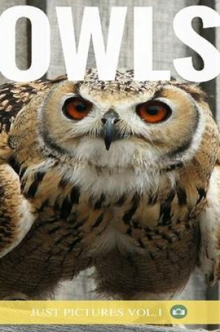 Cover of Owls