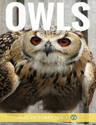 Book cover for Owls