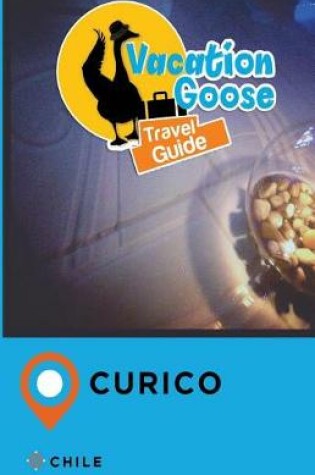 Cover of Vacation Goose Travel Guide Curico Chile