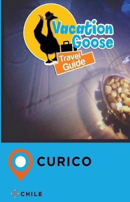 Book cover for Vacation Goose Travel Guide Curico Chile