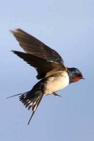 Cover of Flying Barn Swallow Bird Journal