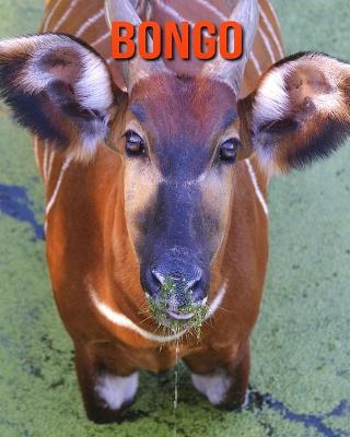 Book cover for Bongo