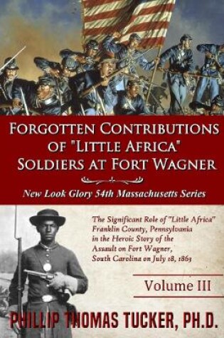 Cover of Forgotten Contributions of Little Africa Soldiers at Fort Wagner