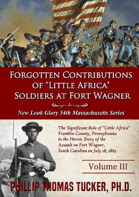 Book cover for Forgotten Contributions of Little Africa Soldiers at Fort Wagner