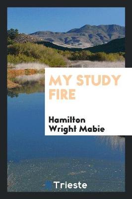 Book cover for My Study Fire