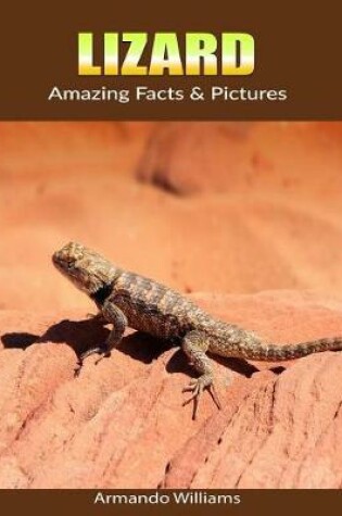 Cover of Lizard