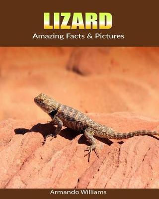 Book cover for Lizard