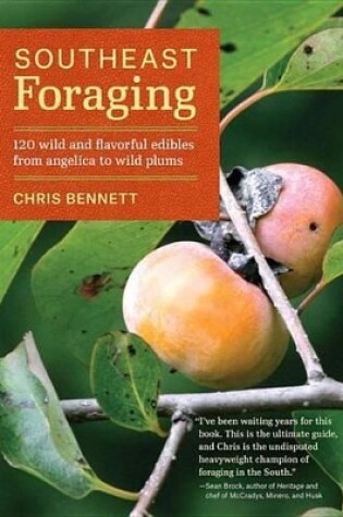 Cover of Southeast Foraging