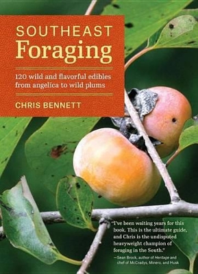 Book cover for Southeast Foraging