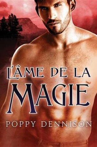 Cover of L'Ame de la Magie