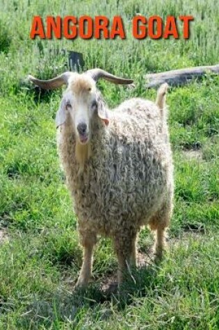 Cover of Angora Goat