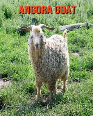 Book cover for Angora Goat