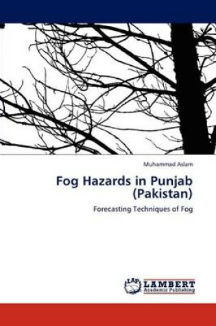 Cover of Fog Hazards in Punjab (Pakistan)