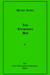 Book cover for The Enormous Bed